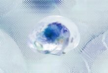 hypernet digital analytics report